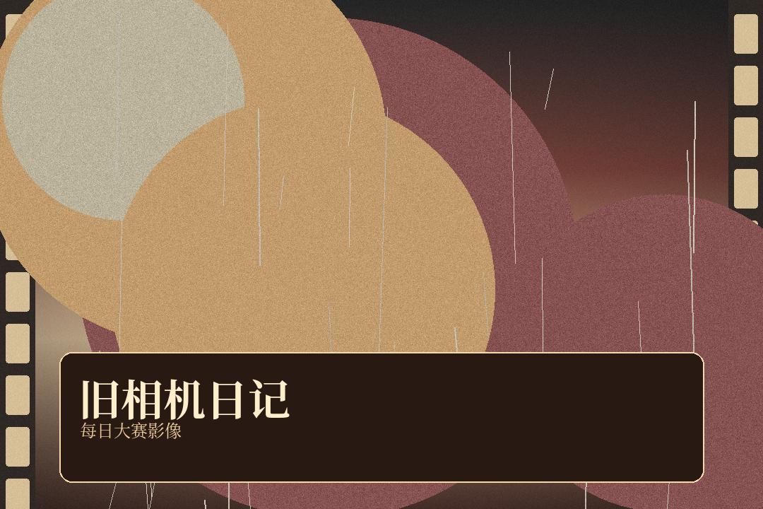 每日大赛 每日大赛胶片生活笔记：一只旧相机的周末 配图